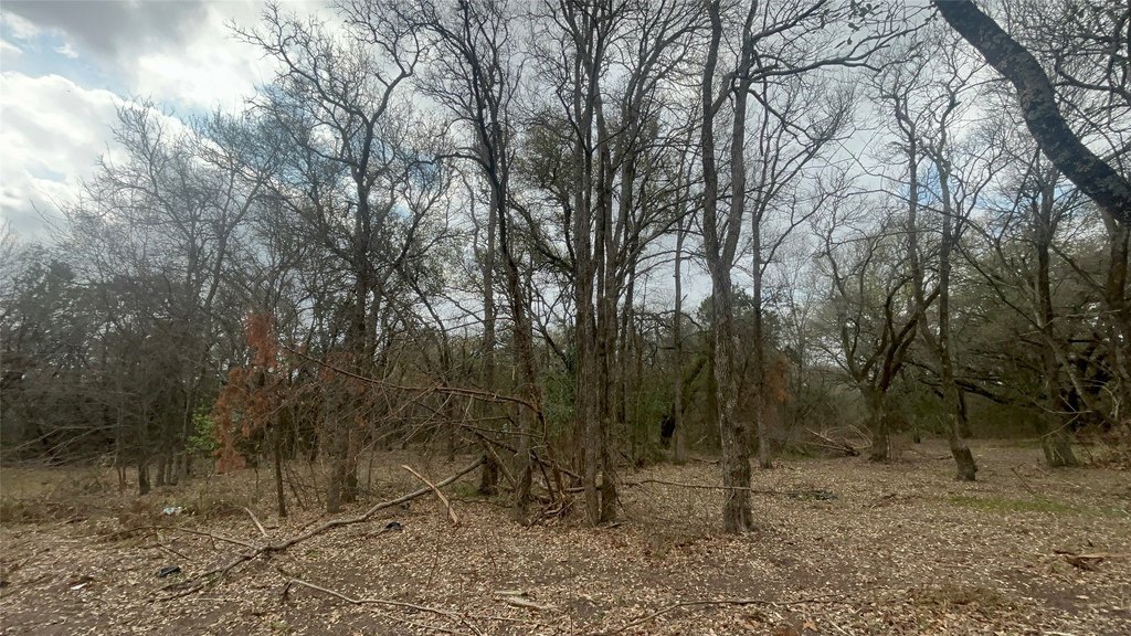 Picture 11