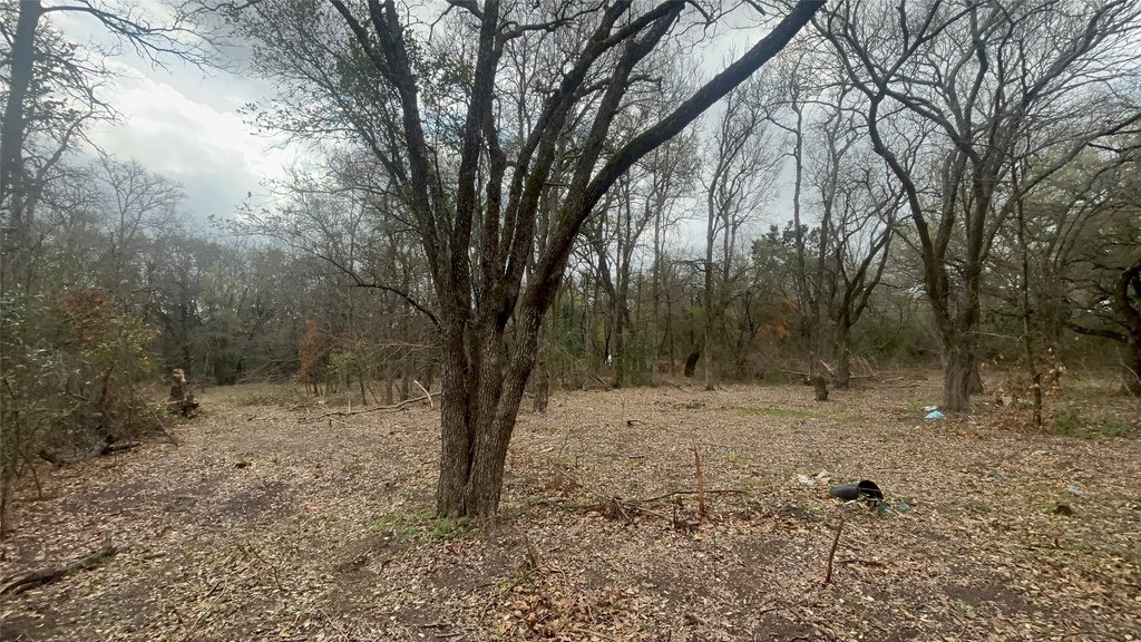 Picture 17