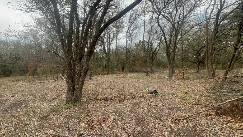 Picture 16