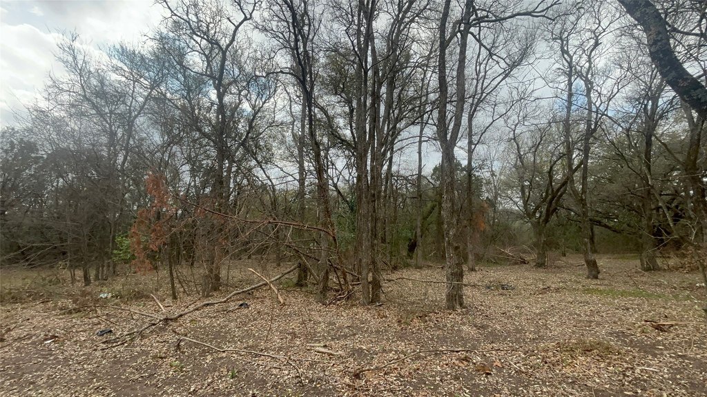 Picture 14