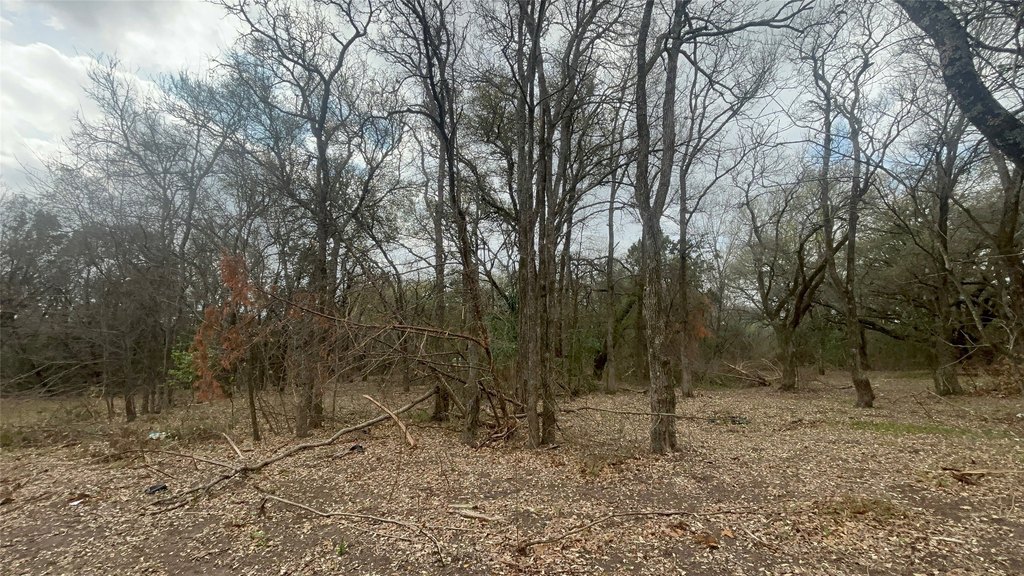 Picture 10