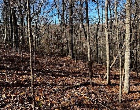 Wooded Lot Near Rogers, AR