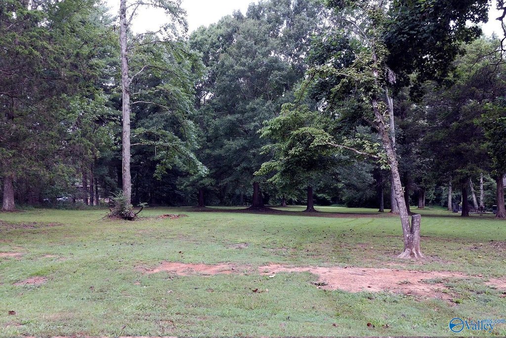 Picture 19