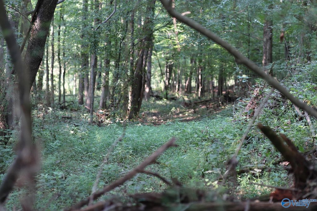 Picture 7