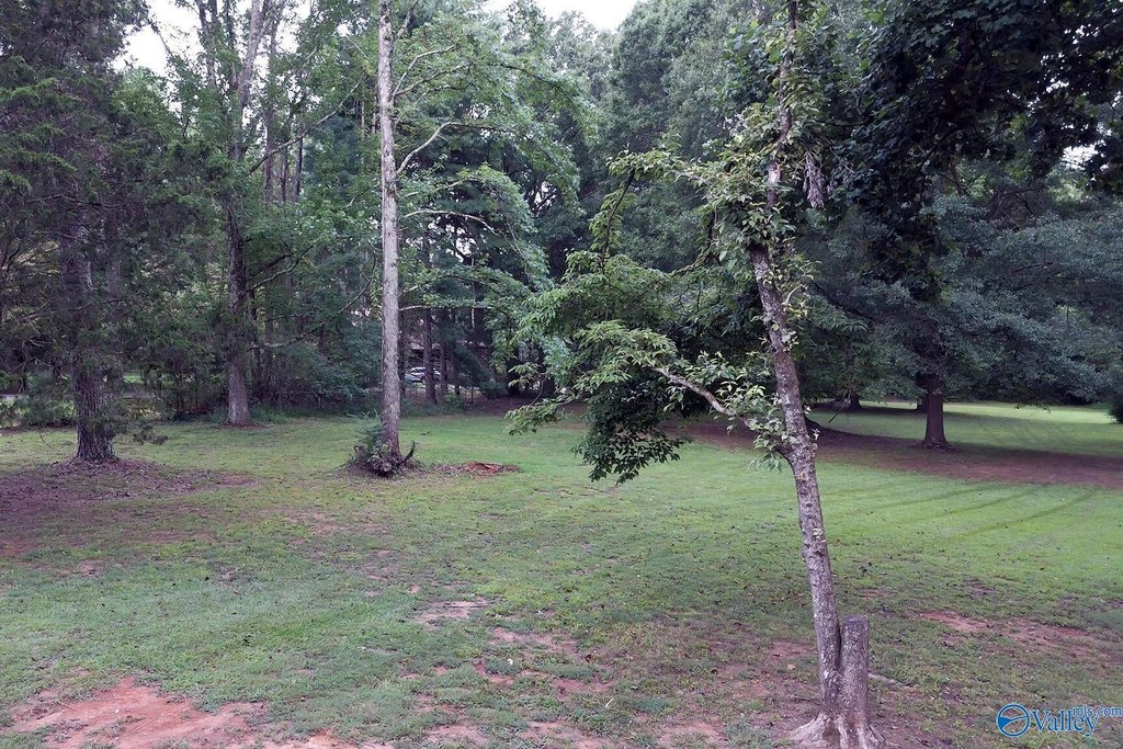 Picture 18