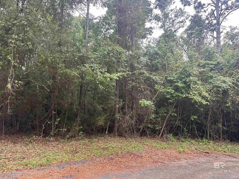 Saraland Land Near I-65