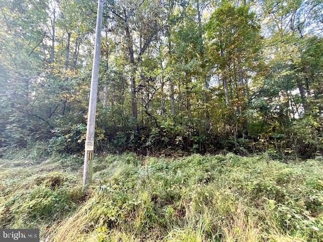 Wooded Homesite in Edinburg, VA
