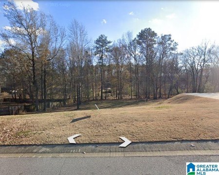 CHELSEA, AL Build-Ready Lot
