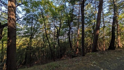 Land, Jasper, GA