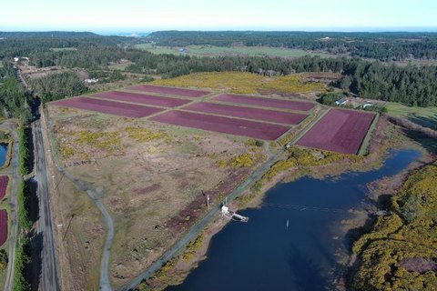 Cranberry Bog Land with Water Reservoirs
