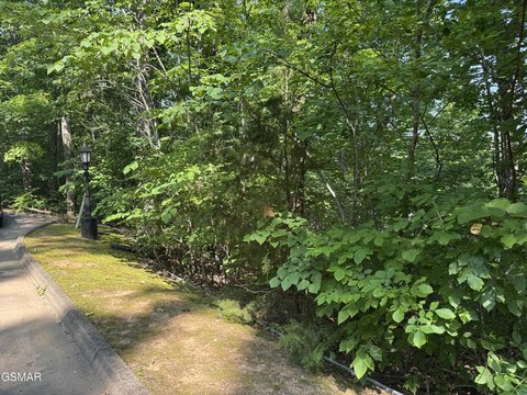 Sevierville Land in Gated Community