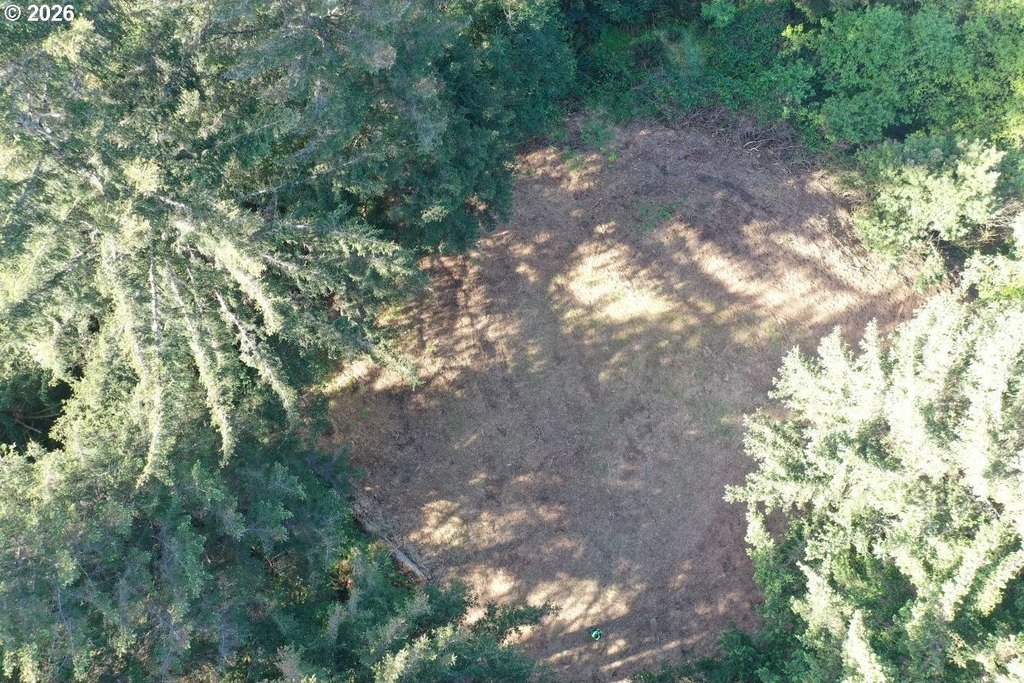 Picture 3