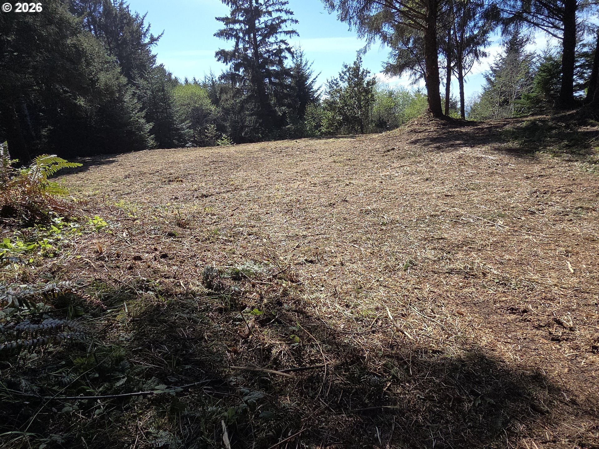 Oceanfront Acreage Ready-to-Build Features