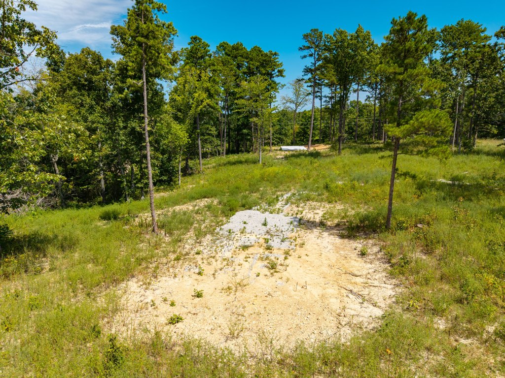 Picture 20