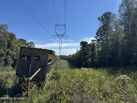 Wooded Hunting Land