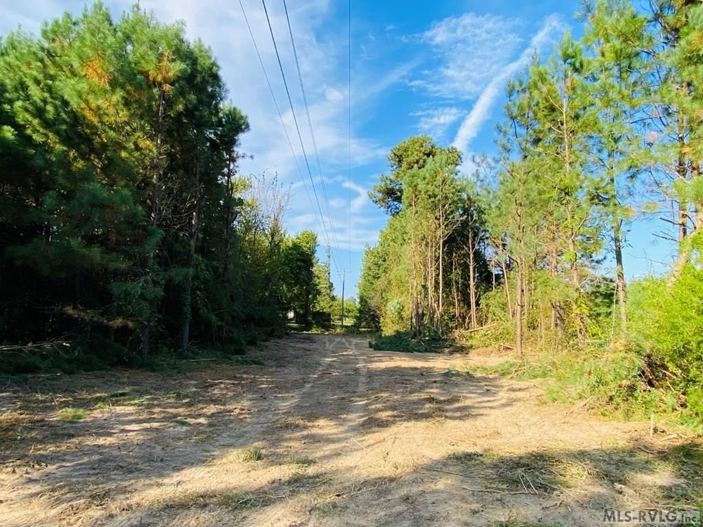 Picture 19