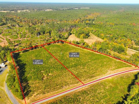 Wooded Land with Road Frontage