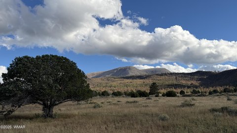 Land, Nutrioso, AZ