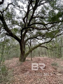 Lillian, AL Estate Acreage Lot