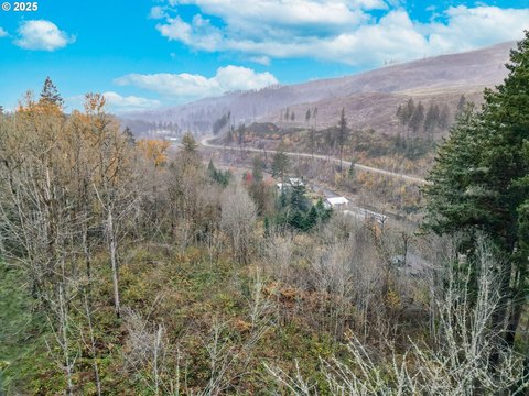 Lyons, Oregon Acreage for Sale