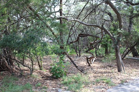 LAND - Canyon Lake, TX