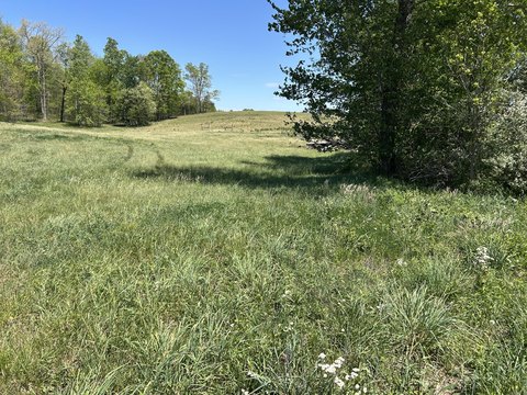 LAND - East Bernstadt, KY