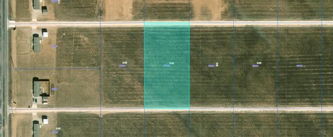 Expansive Land in Prairie Winds