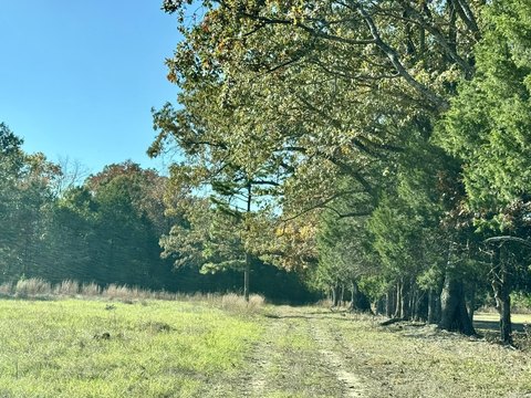 Land Near Greenbrier, Arkansas