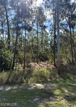 Land, Lehigh Acres, FL