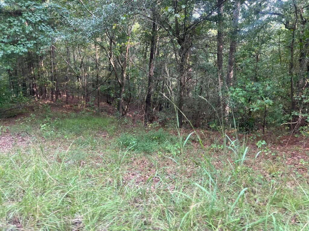 Picture 6