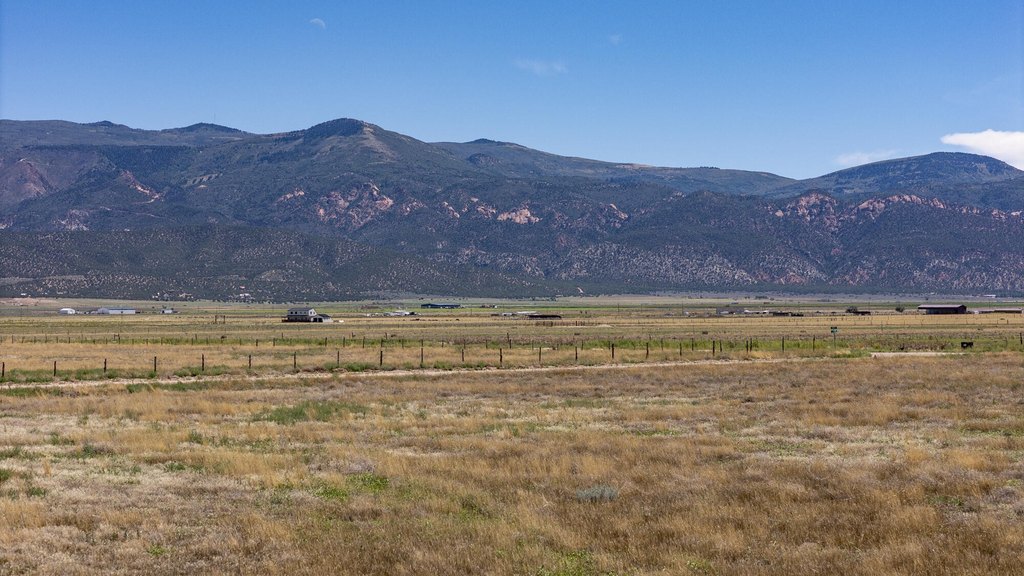 Picture 17