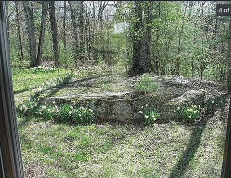 Mobile Home, Vacant Land - OLIVEBRIDGE, NY