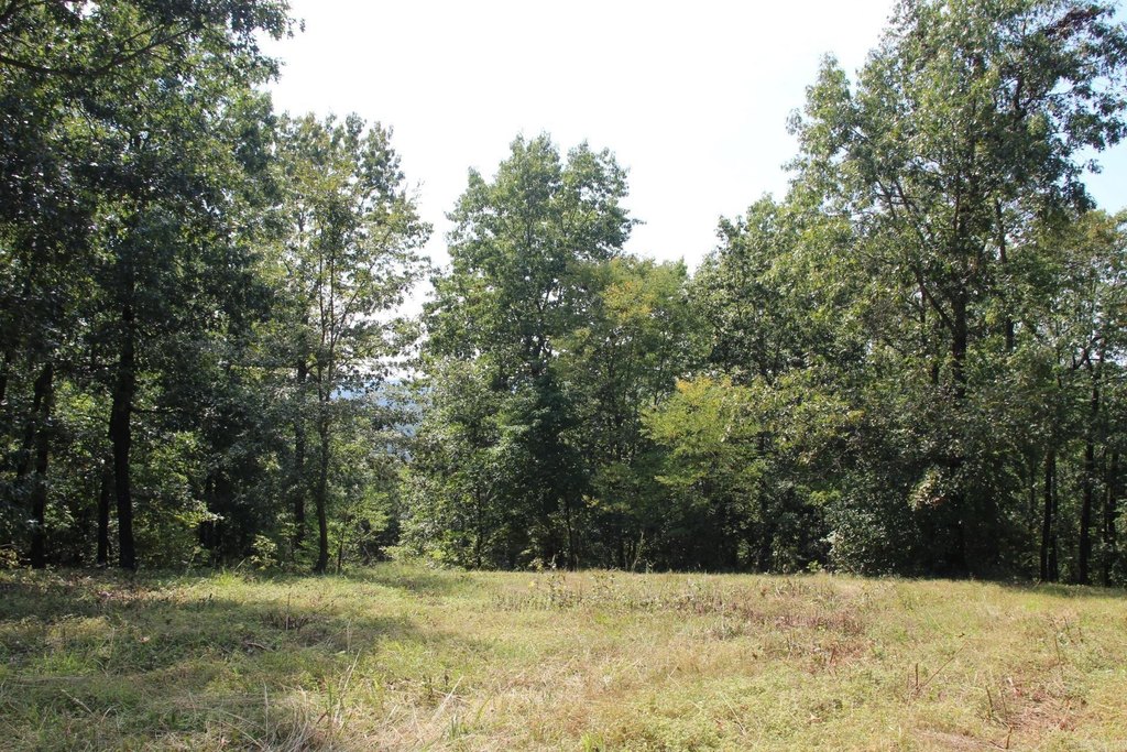 Picture 17