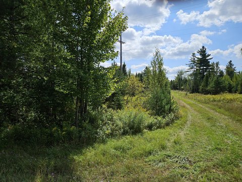 Forested Land in Merrillsville, NY