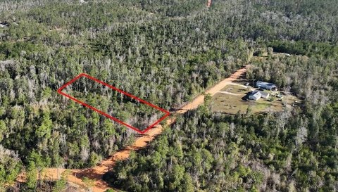 Land, ALFORD, FL