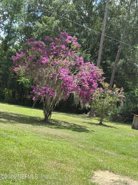 Picture 7