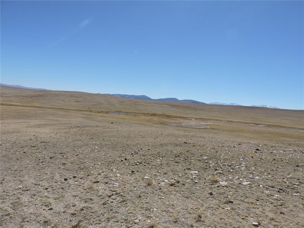 Picture 25