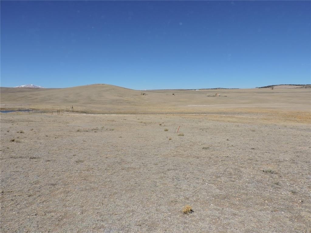 Picture 35
