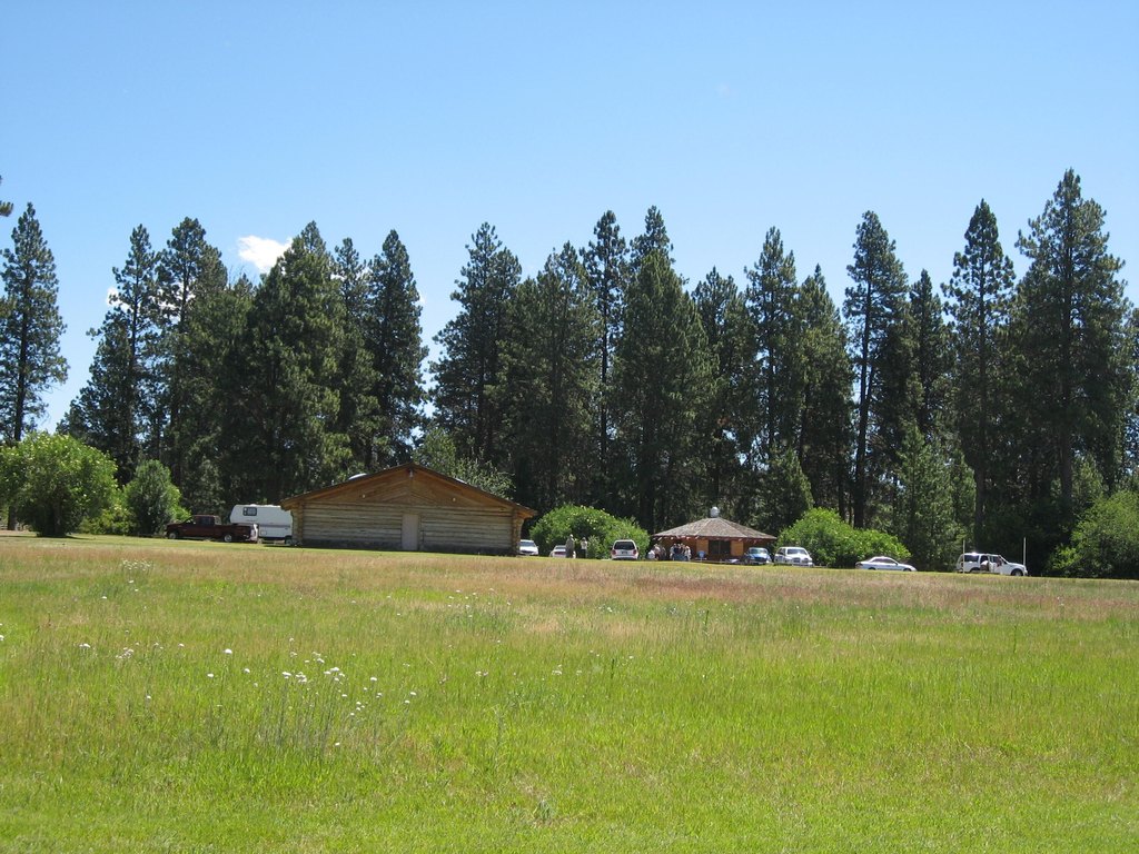 Picture 3