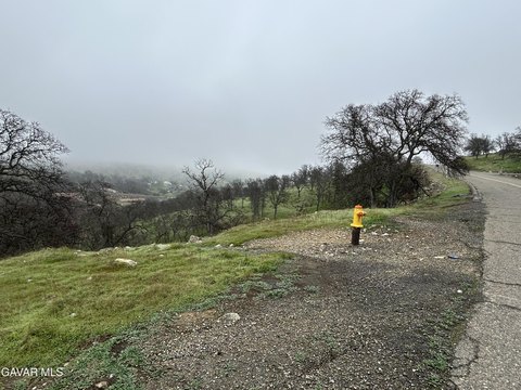 La Grange Acreage Near Lake