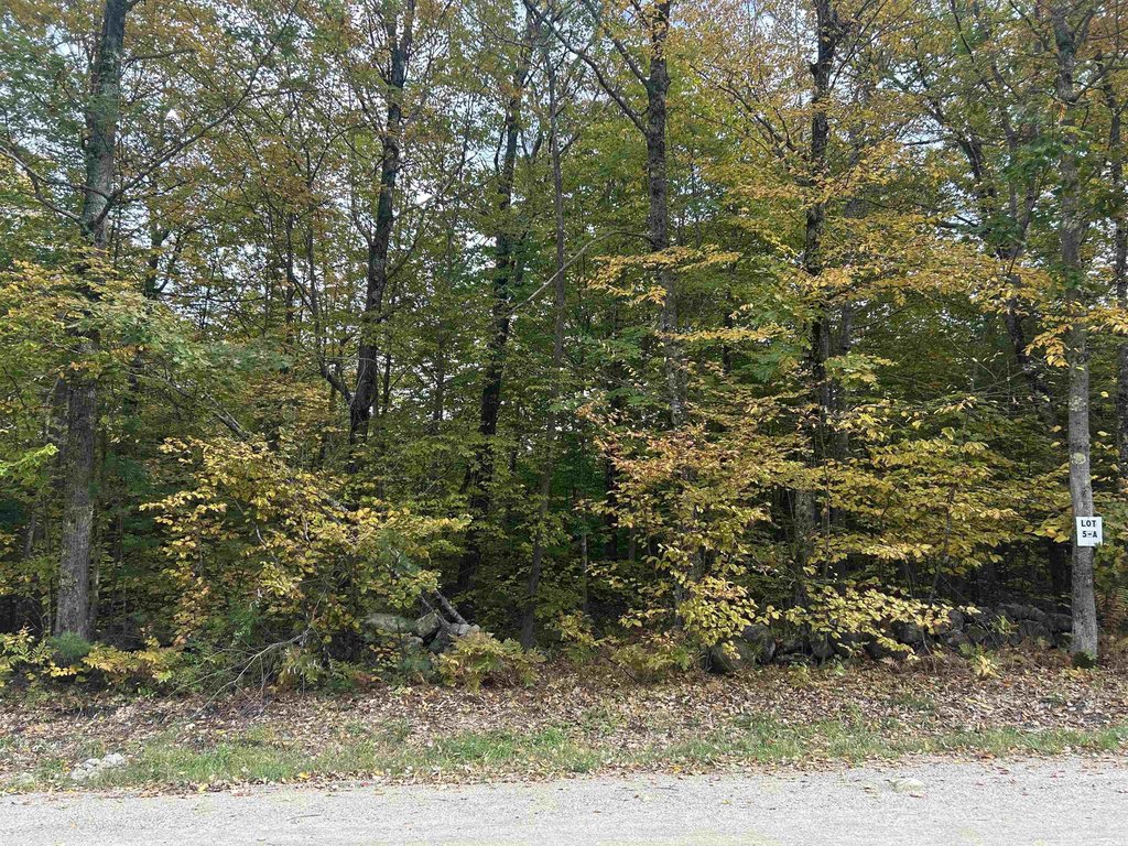 Picture 5