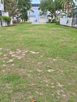 Land, KISSIMMEE, FL