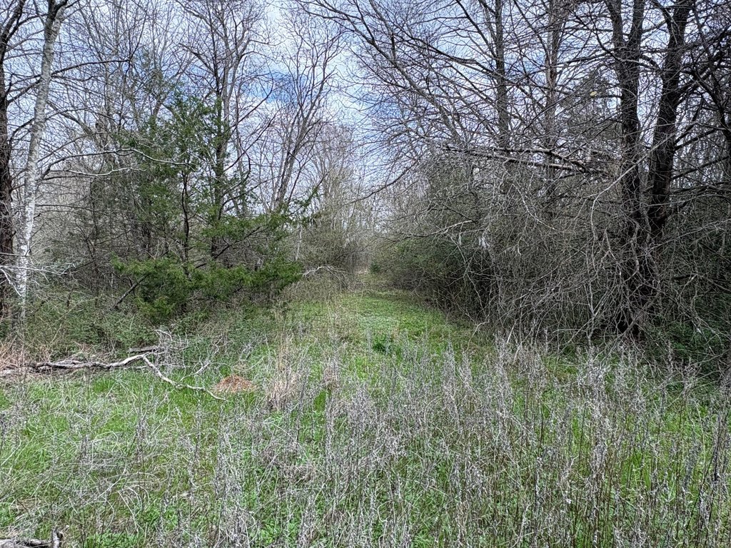 Picture 7