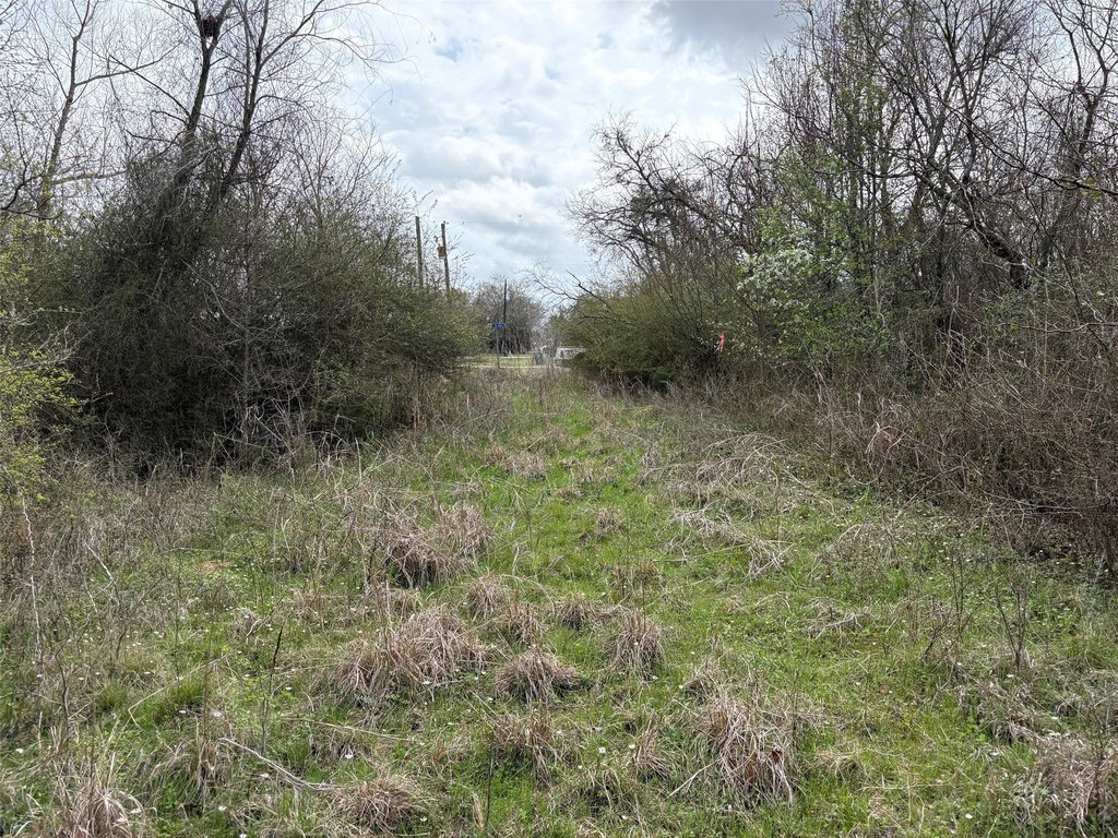 Picture 5