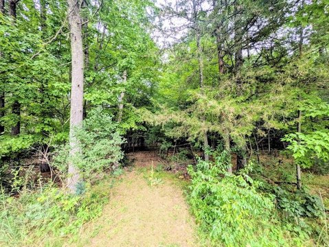 Lots & Acreage, Arkdale, WI