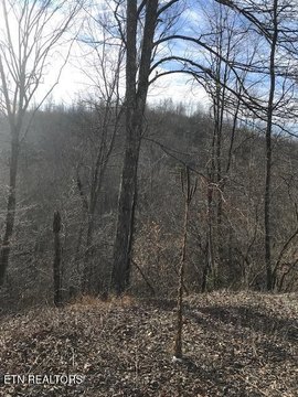 93+ Acre Tennessee Land Parcel