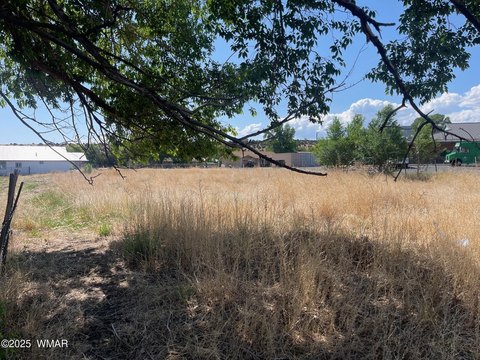Residential Land in Eagar, Arizona