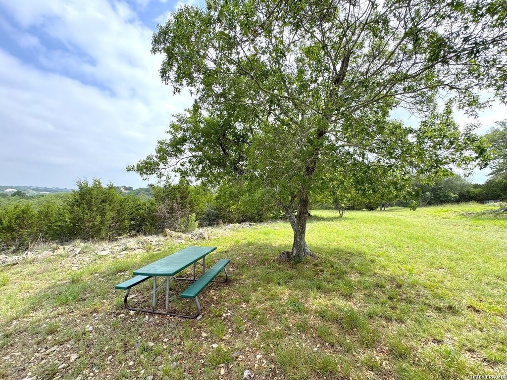 Picture 25