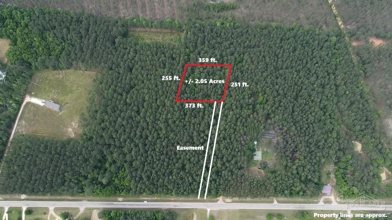 Uriah, AL Wooded Land Parcel