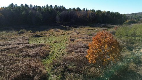 Land, Fairfax, VT